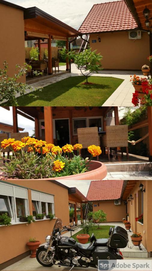 נובי סאד Villa Klara מראה חיצוני תמונה